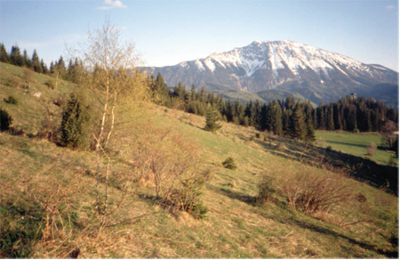 Ötscher-Dürrenstein