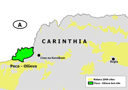 Carinthia